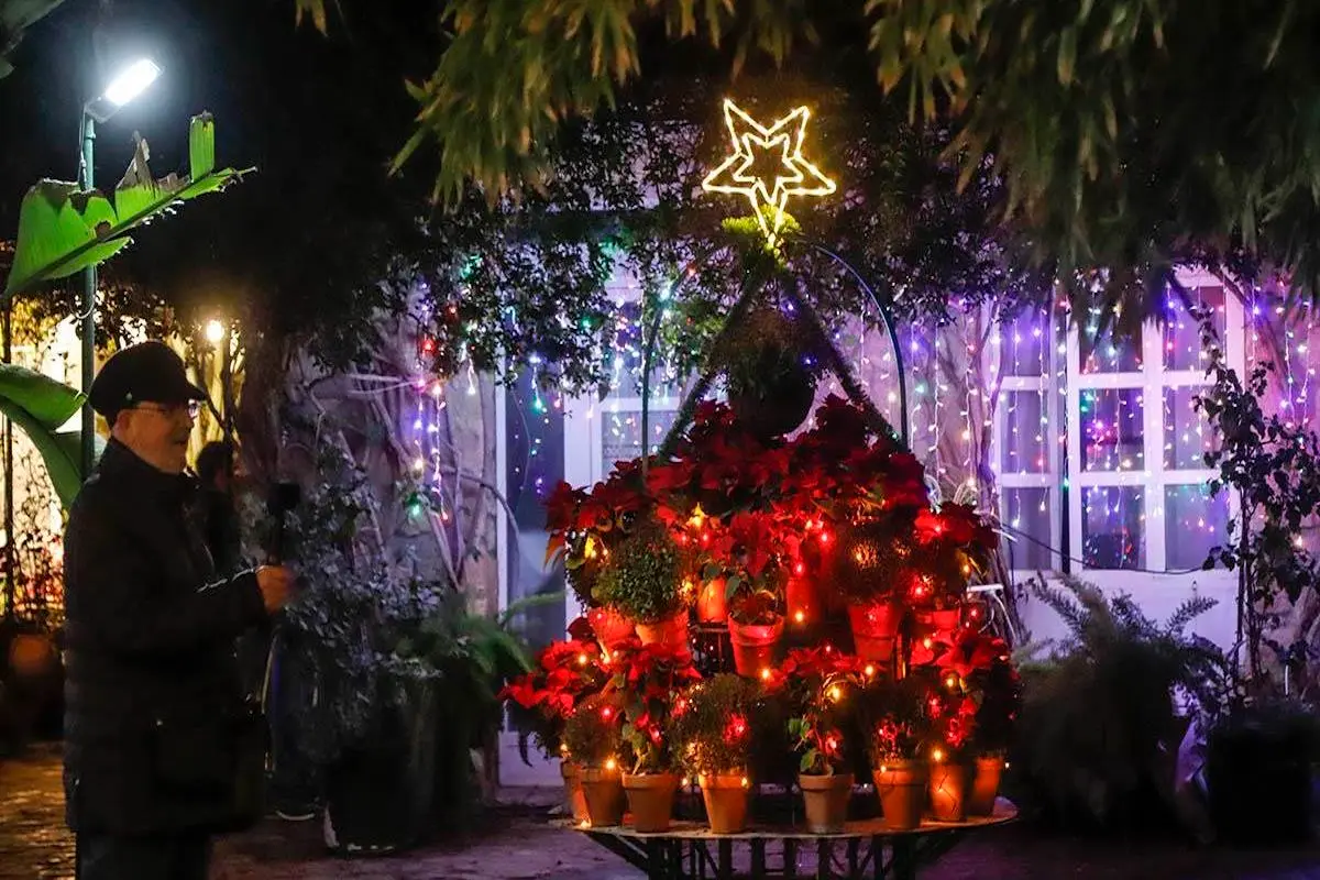 patios-cordoba-navidad