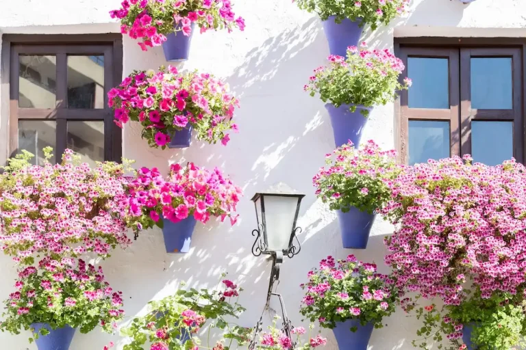 visitar-cordoba-en-mayo.jpg_ (2)