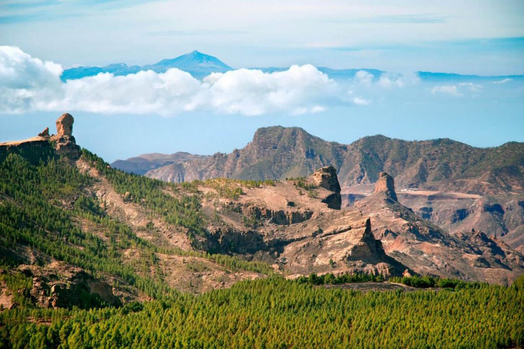 destinos-gran canaria-tierra de cultivos-parque rural