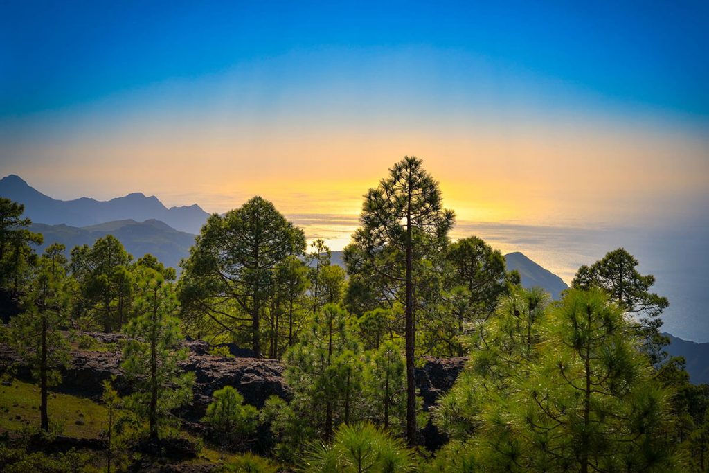 destinos-gran canaria-tierra de cultivos-reserva