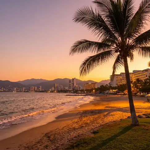 ¿Puerto Vallarta está libre de sargazo? Lo que debes saber antes de viajar - Hotel Encino