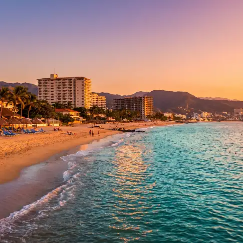 ¿Puerto Vallarta está libre de sargazo? Lo que debes saber antes de viajar - Hotel Encino