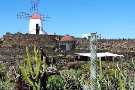 Molino de viento rodeado de cactus bajo un cielo azul.