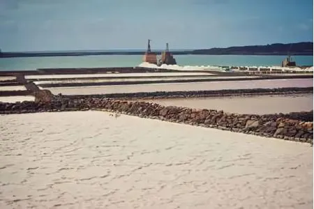 Salinas con muros de piedra, cielo azul y mar al fondo.