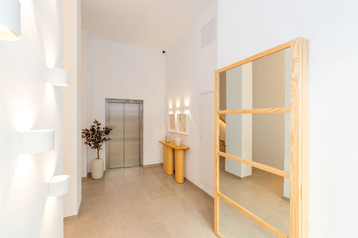 Vest&iacute;bulo moderno con espejo grande, planta en maceta y ascensor al fondo.