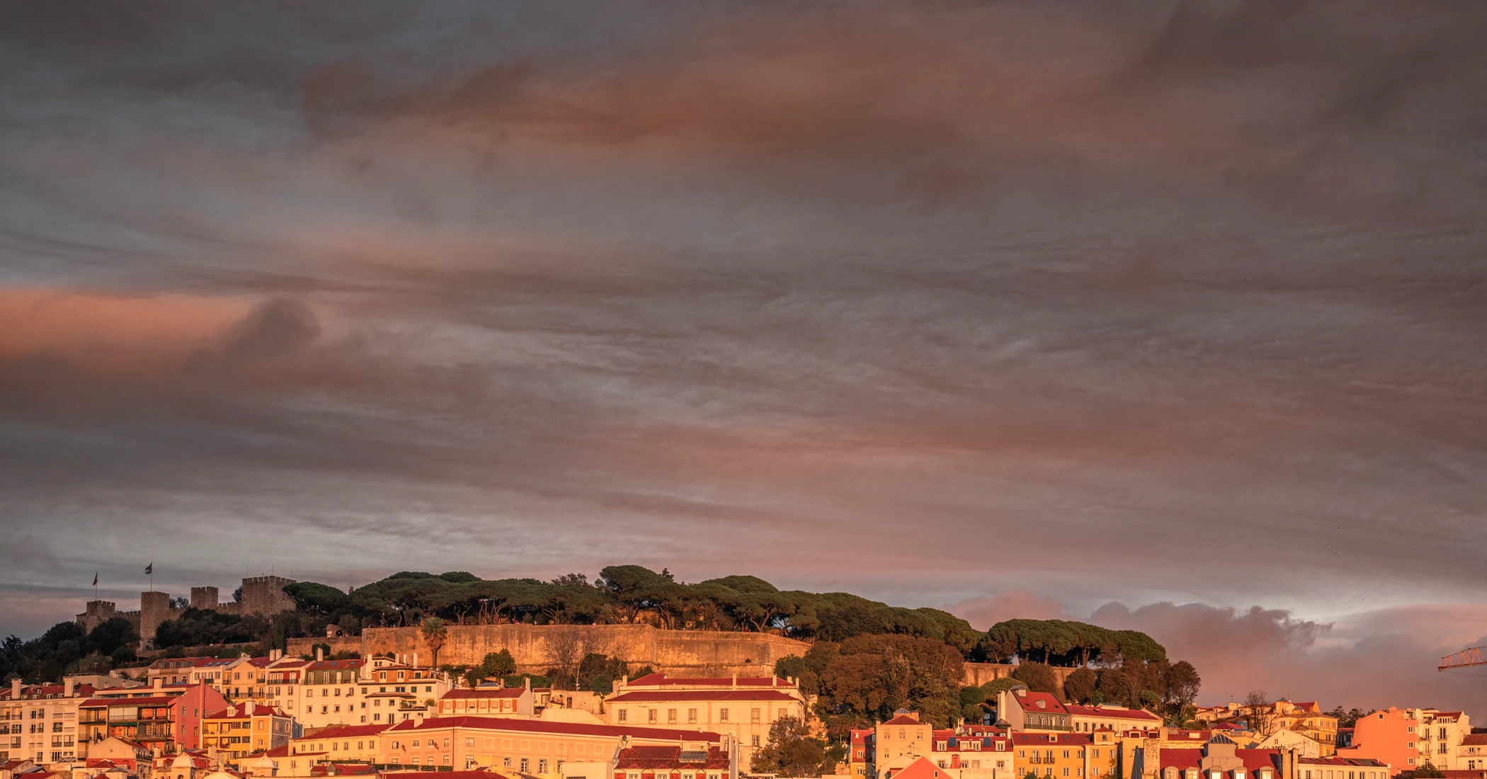 artlegacy_navidad_03