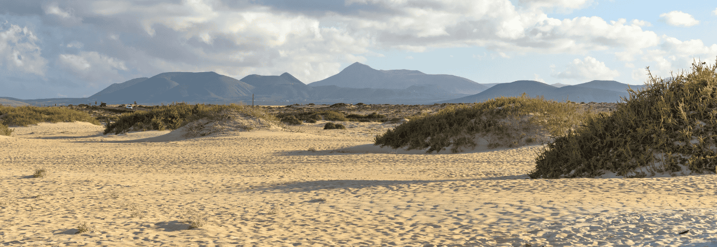 Alojamiento silencioso y rodeado de naturaleza en Fuerteventura: apartamentos familiares con cocina y terraza - shambhala fuerteventura