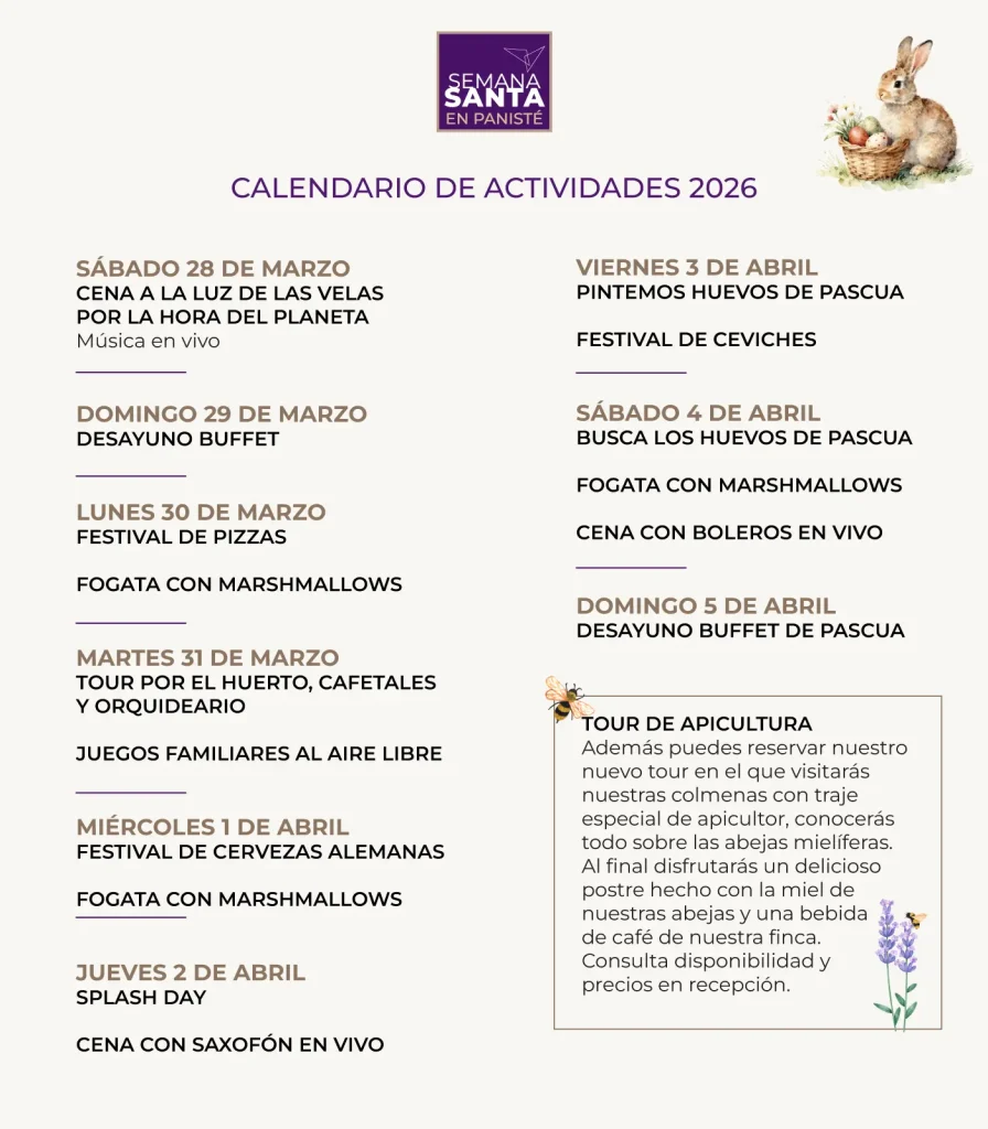Actividades - Hotel Paniste