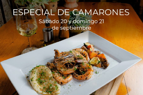 Promotions - Hotel Paniste
