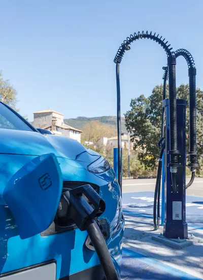 Services - Luze El Toro - Luze Hoteles