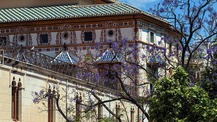 Foto exterior del Palacio Ducal de los Borja en Gandia con vegetación