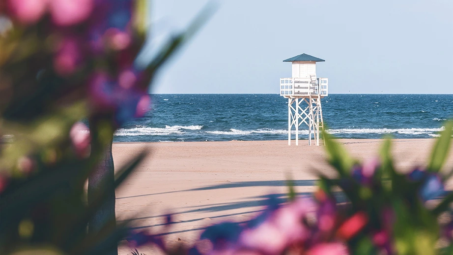 Foto de la playa de Gandía con detalle de puesto de socorrista y flores desenfocadas