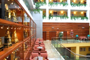 Interior de Senator Granada Hotel con enredaderas