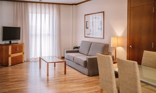 Sala de estar moderna con sof&aacute; gris y televisor, iluminada por luz natural.