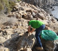 Voluntarios de Senator Hotels &amp; Resorts participan en la limpieza de la playa El Palmer - Senator Hotels &amp; Resorts