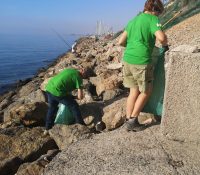 Voluntarios de Senator Hotels &amp; Resorts participan en la limpieza de la playa El Palmer - Senator Hotels &amp; Resorts