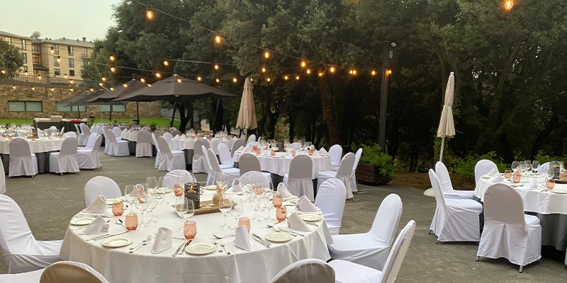 800X400-puigsagordi-3