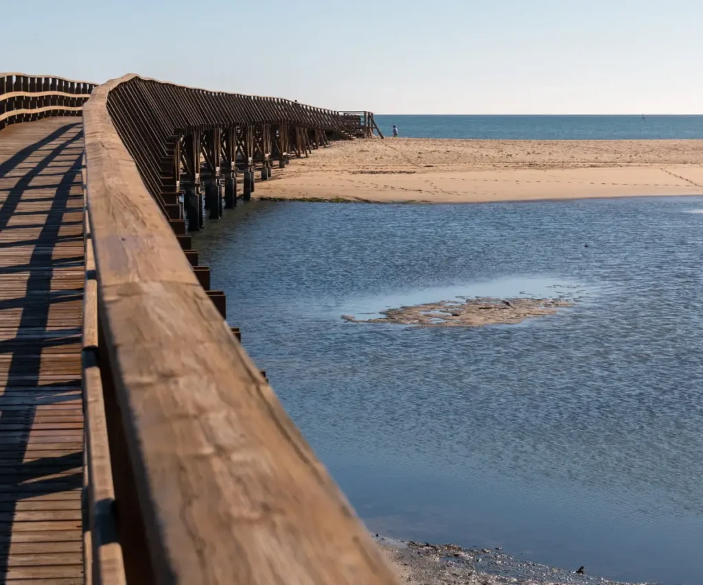 Muelle de madera y estructuras met&aacute;licas junto al mar en la costa