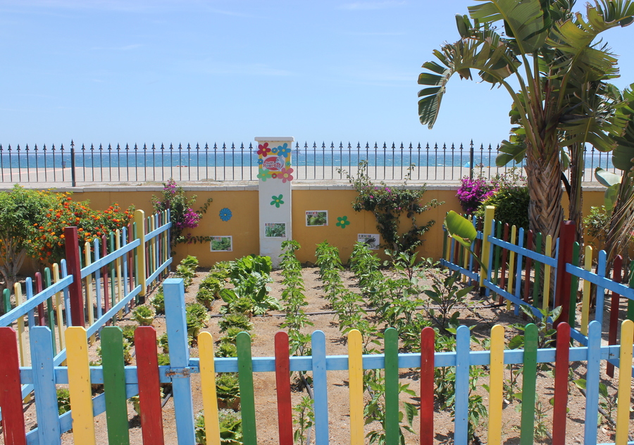 Las vacaciones en Senator Hotels &amp; Resorts son mucho m&aacute;s: nuestras iniciativas sostenibles - Senator Hotels &amp; Resorts