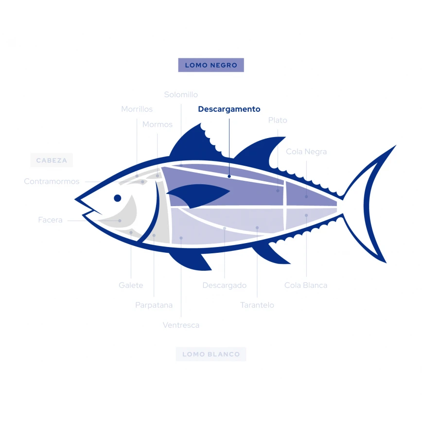 Descargamento - At&uacute;n Rojo