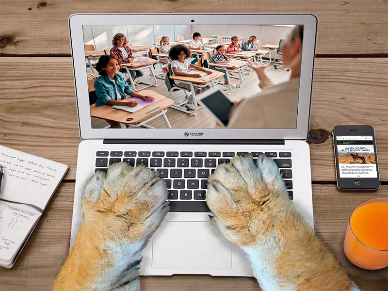 LOS ESCOLARES SE DIVIERTEN APRENDIENDO EN OASYS MINIHOLLYWOOD - Senator Hotels &amp; Resorts