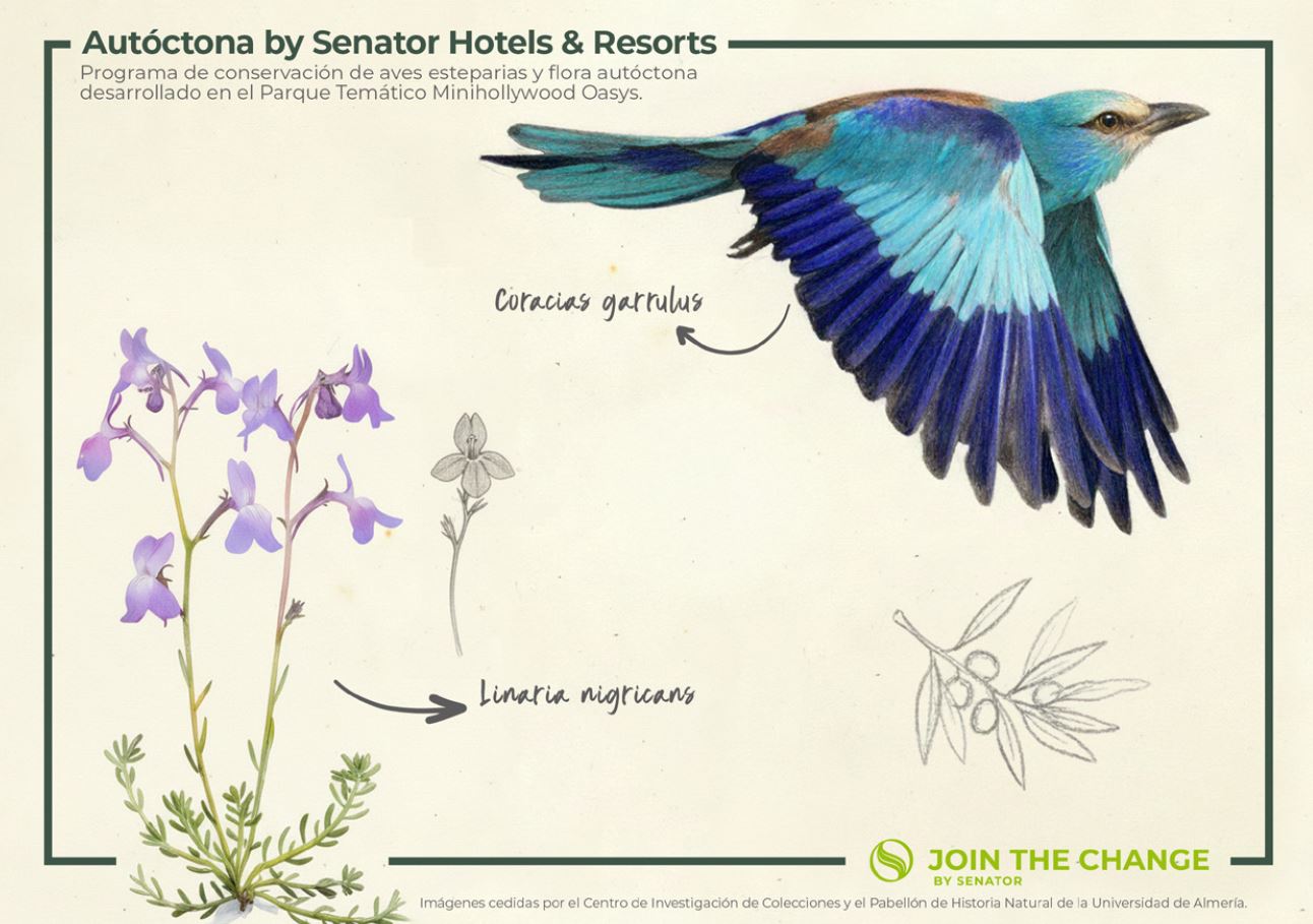 Senator Hotels & Resorts colabora con ADEMO con una donación solidaria de 2.500 euros - Senator Hotels & Resorts