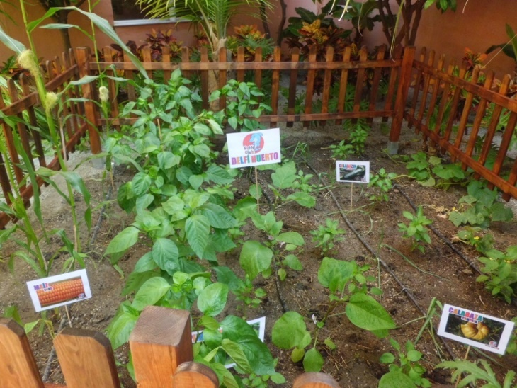 Las vacaciones en Senator Hotels &amp; Resorts son mucho m&aacute;s: nuestras iniciativas sostenibles - Senator Hotels &amp; Resorts