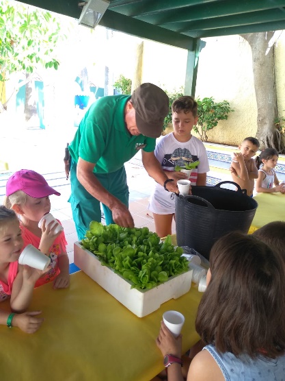 Las vacaciones en Senator Hotels &amp; Resorts son mucho m&aacute;s: nuestras iniciativas sostenibles - Senator Hotels &amp; Resorts