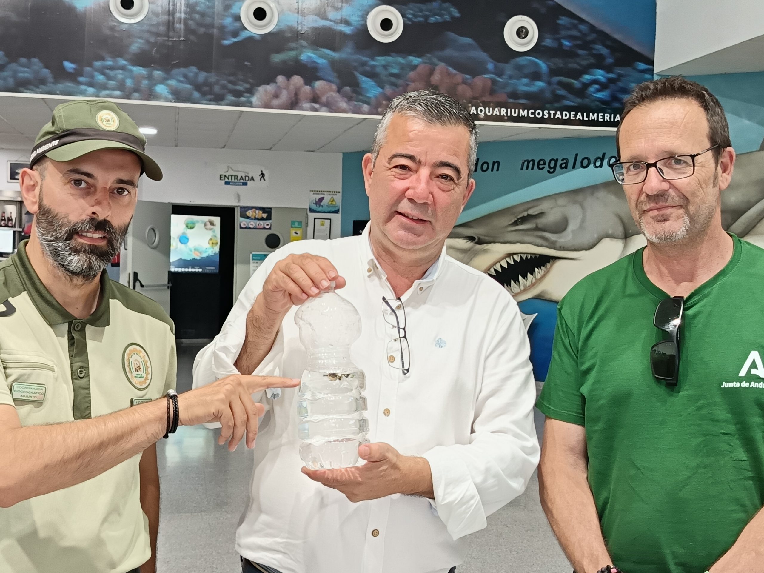 Aquarium Costa de Almer&iacute;a acoge a un caballito de mar rescatado de la playa de San Miguel - Senator Hotels &amp; Resorts