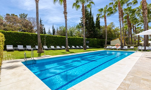 Piscina rodeada de palmeras y tumbonas en un jard&iacute;n soleado.