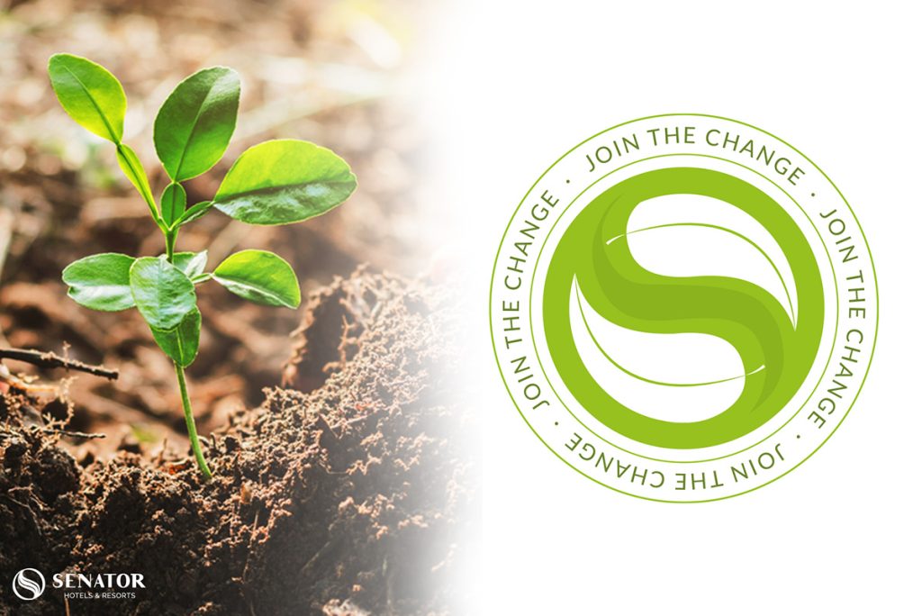 Planta sembrada con logo de RSC en verde