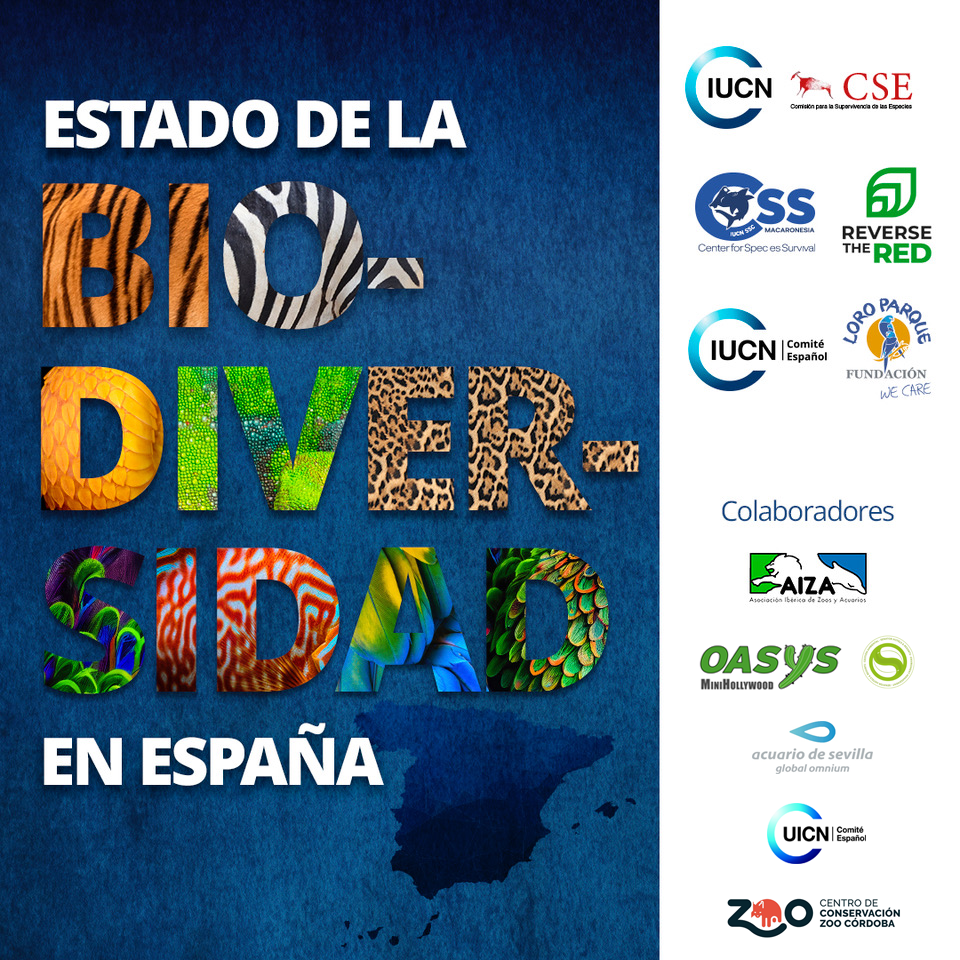 Oasys MiniHollywood participa en un nuevo proyecto de conservaci&oacute;n de especies junto con la CSSM y la UICN - Senator Hotels &amp; Resorts