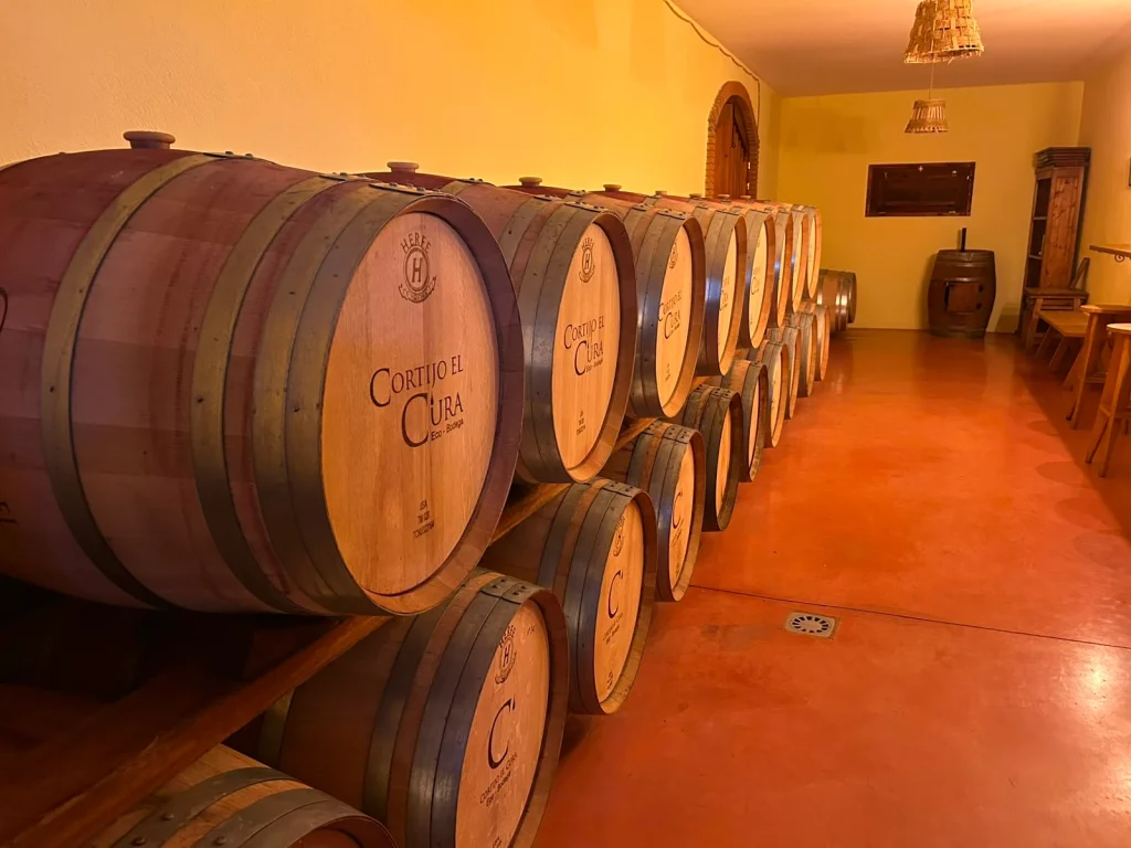 Bodega Cortijo el Cura toneles de vino