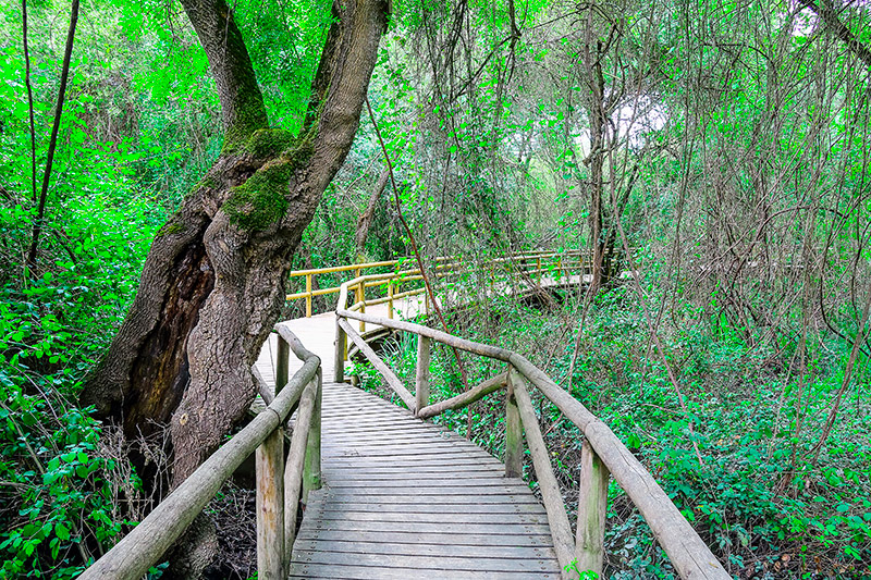Sendero Charco de la Boca