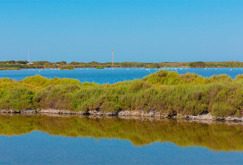 Punta Entinas Sabinar