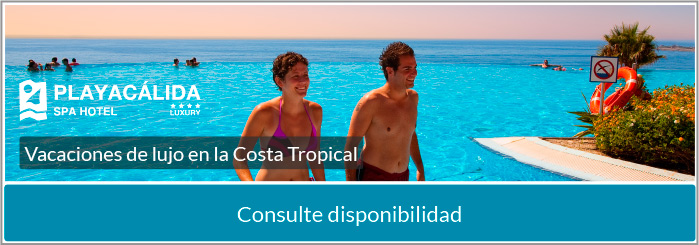 Playacalida Spa Hotel