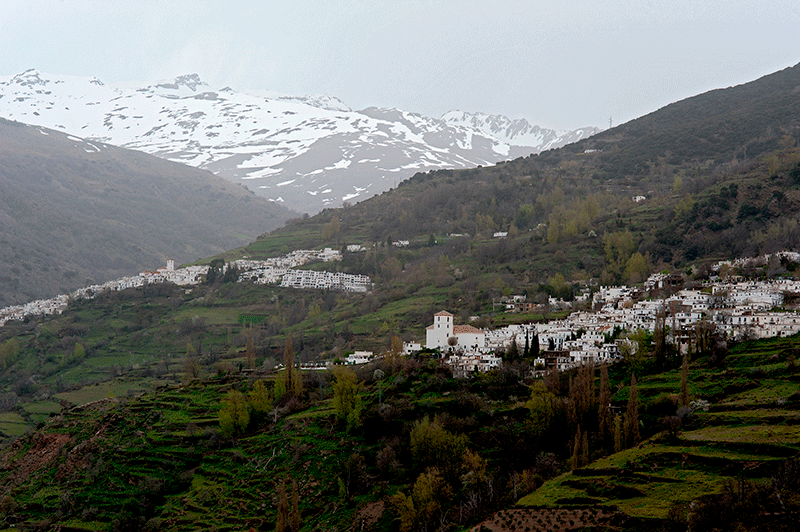 Bubión