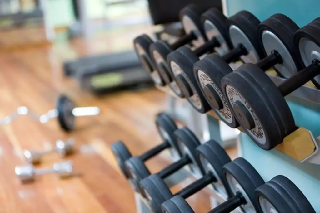 Pesas de gimnasio en una estaci&oacute;n con mancuernas sobre un soporte met&aacute;lico.