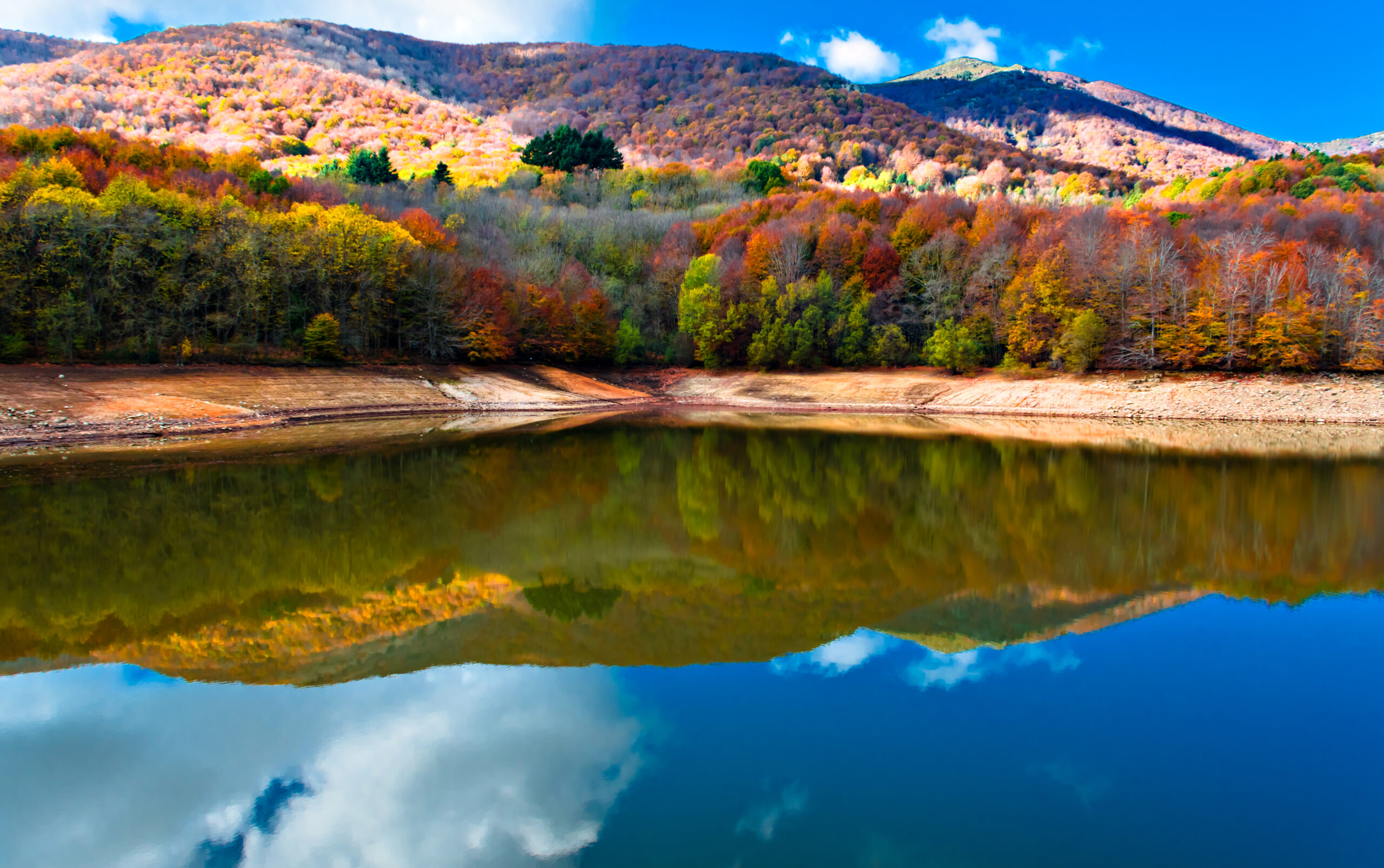 Árboles coloridos y un pantano en el Parque Natural del Montseny