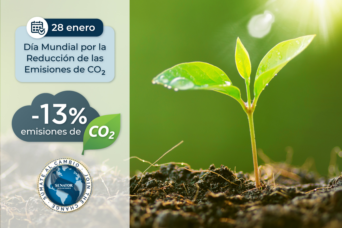 Senator Hotels &amp; Resorts, concienciada con la reducci&oacute;n de la huella de carbono - Senator Hotels &amp; Resorts