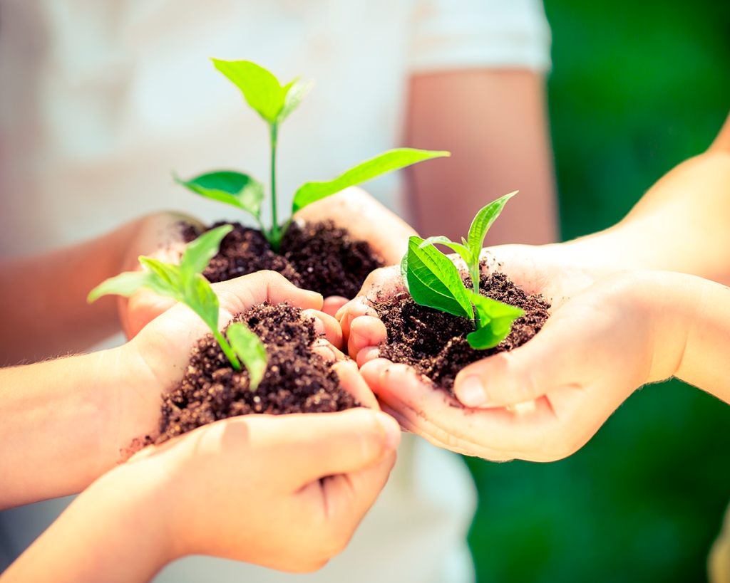 SHR celebra el Día Mundial de la Educación Ambiental - Senator Hotels &amp; Resorts