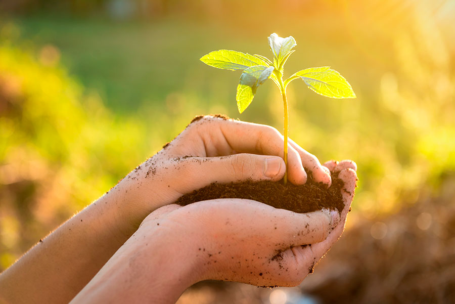 News - Senator Hotels &amp; Resorts