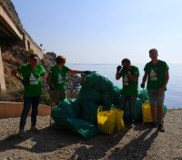 Voluntarios de Senator Hotels &amp; Resorts participan en la limpieza de la playa El Palmer - Senator Hotels &amp; Resorts