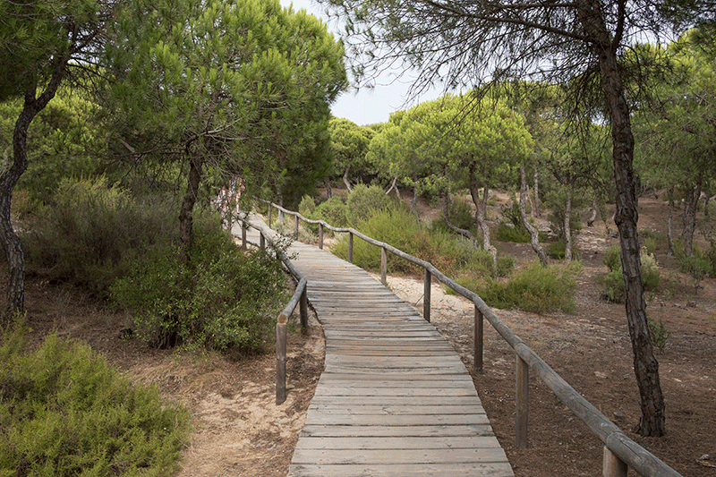 Paraje natural Enebrales 