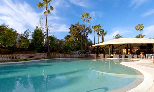 Piscina al aire libre rodeada de palmeras y &aacute;rboles bajo un cielo azul.