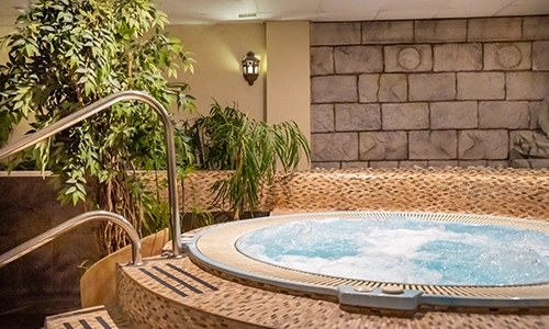 Jacuzzi en una sala elegante con plantas y paredes decorativas de piedra.