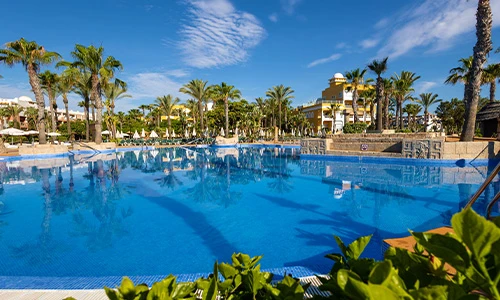 Piscina amplia rodeada de palmeras en un d&iacute;a soleado.