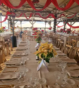 D&icirc;ner d’entreprise &agrave; Almer&iacute;a - Senator Hotels &amp; Resorts