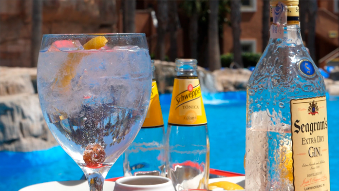 Elaboración gin-tonic ingredientes