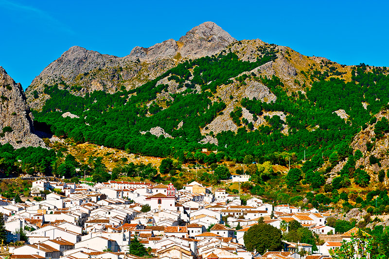 Grazalema